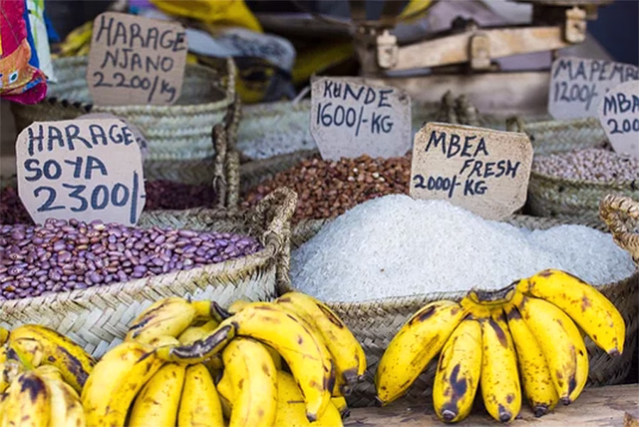 spice tour zanzibar
