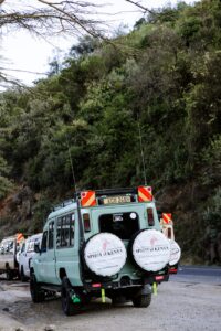 Safari w Kenii dla początkujących: Jak się przygotować i co zabrać?